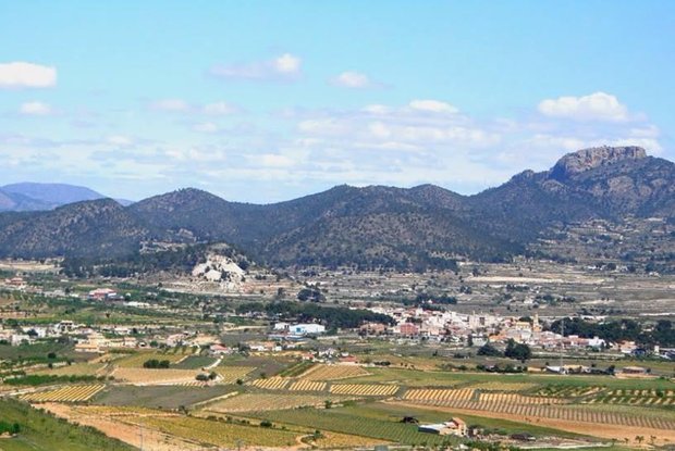 Image No.13-Villa de 2 chambres à vendre à La Romana