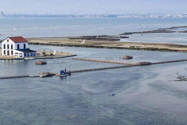 Image No.9-Penthouse de 2 chambres à vendre à San Pedro del Pinatar