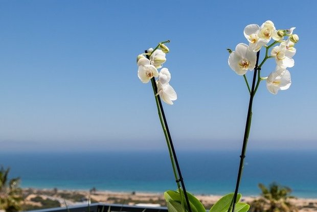 Image No.20-Appartement de 3 chambres à vendre à Santa Pola