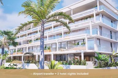Property overview