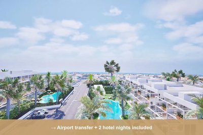 Property overview