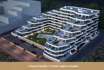 Property overview