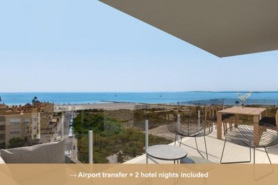 Property overview