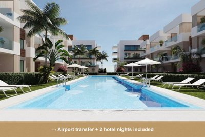 Property overview
