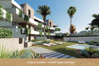 Property overview