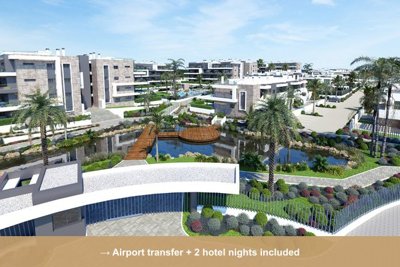Property overview