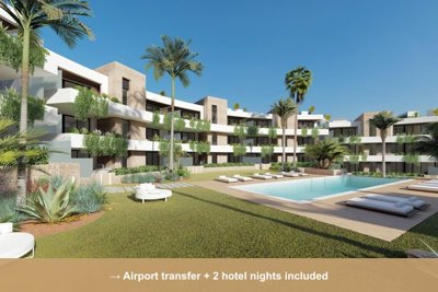 Property overview