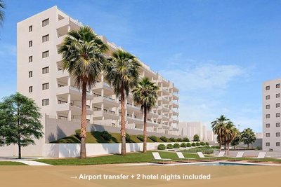Property overview