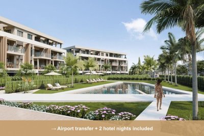 Property overview