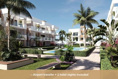 Property overview