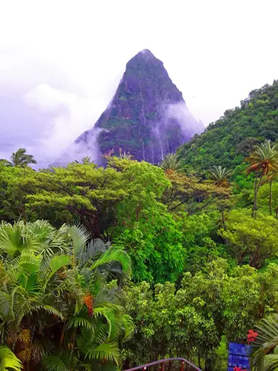 Image No.21-Maison / Villa de 3 chambres à vendre à Soufrière