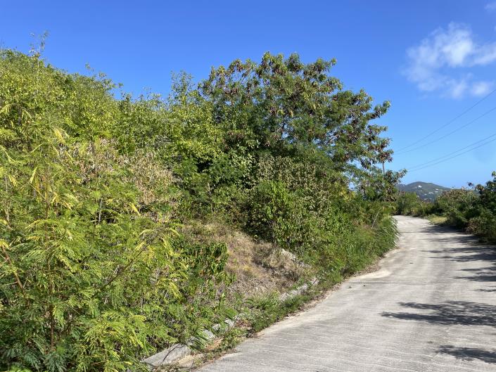 Image No.5-Terre à vendre à Vieux Fort