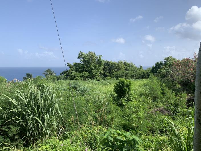 Image No.7-Land for sale