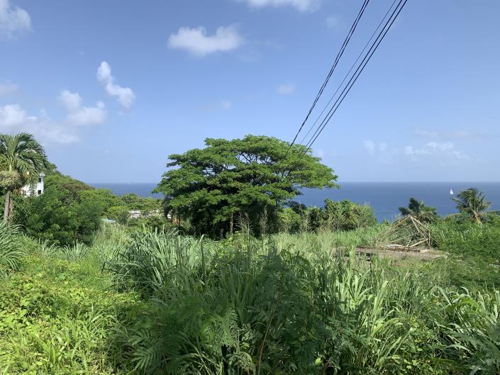 Image No.9-Land for sale