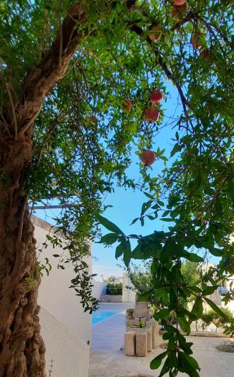 Image No.9-4 Bed House/Villa for sale