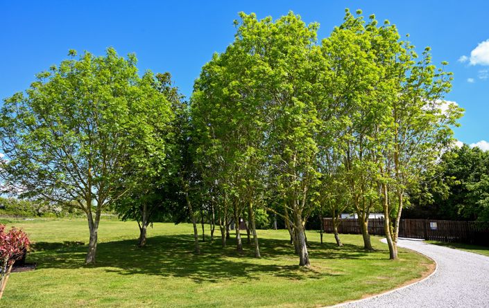 Image No.4-Park Home de 2 chambres à vendre à North Yorkshire