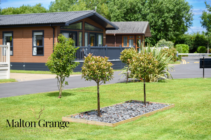 Image No.7-Park Home de 2 chambres à vendre à North Yorkshire