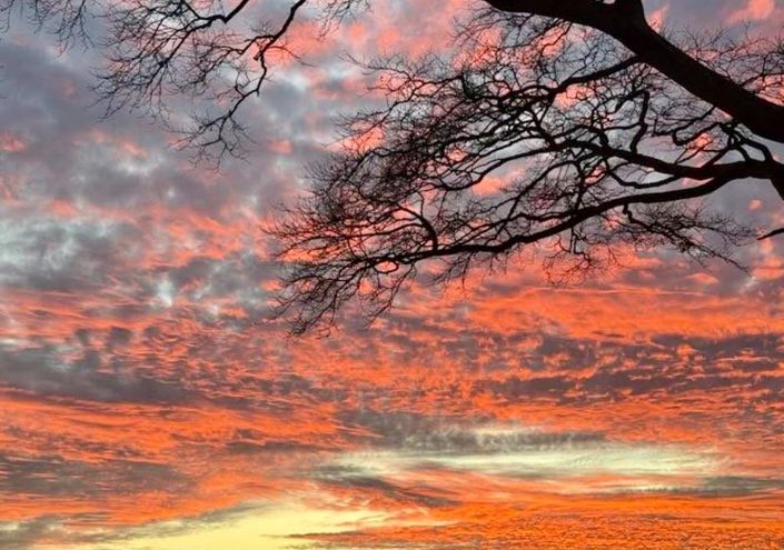 Image No.12-2 Bed Park Home for sale