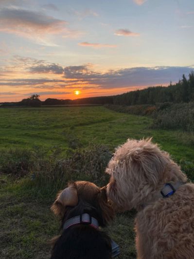 Image No.13-2 Bed Park Home for sale