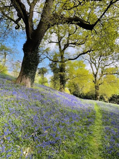 Image No.11-Park Home de 2 chambres à vendre à Tarporley