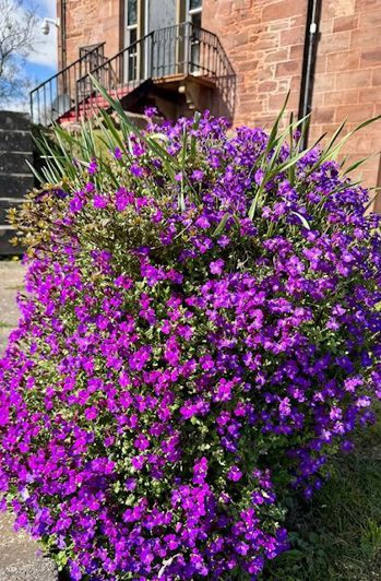 Image No.22-2 Bed Park Home for sale