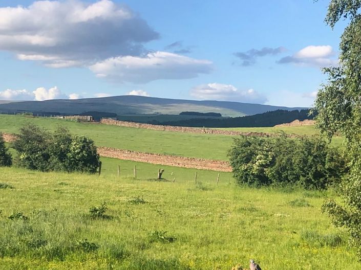 Image No.3-2 Bed Park Home for sale