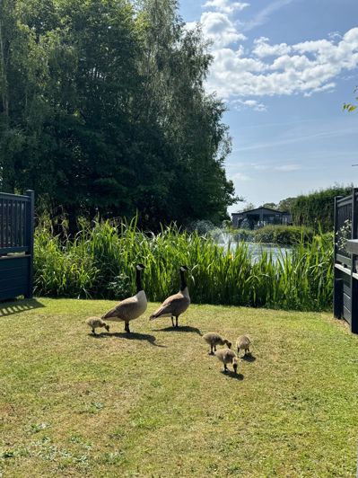 Image No.10-Park Home de 2 chambres à vendre à York