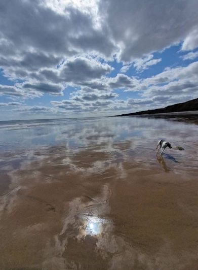 Image No.2-2 Bed Park Home for sale