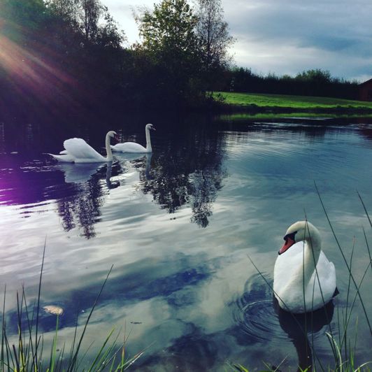 Image No.17-2 Bed Park Home for sale