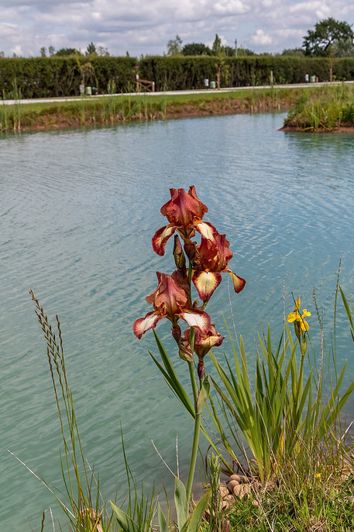 Image No.7-2 Bed Park Home for sale