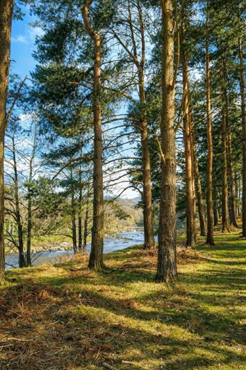 Image No.7-Park Home de 2 chambres à vendre à Llandrindod Wells