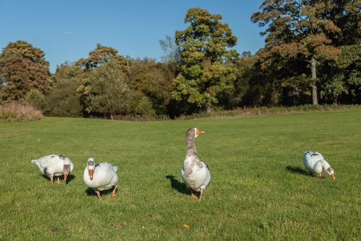 Image No.18-2 Bed Park Home for sale