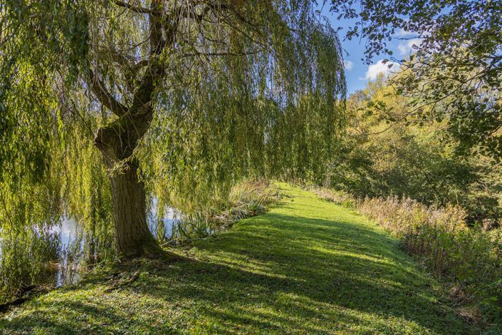 Image No.8-2 Bed Park Home for sale