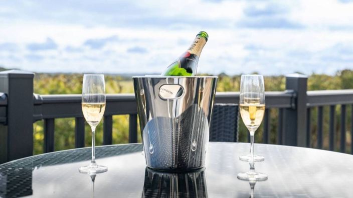 Image No.6-2 Bed Park Home for sale