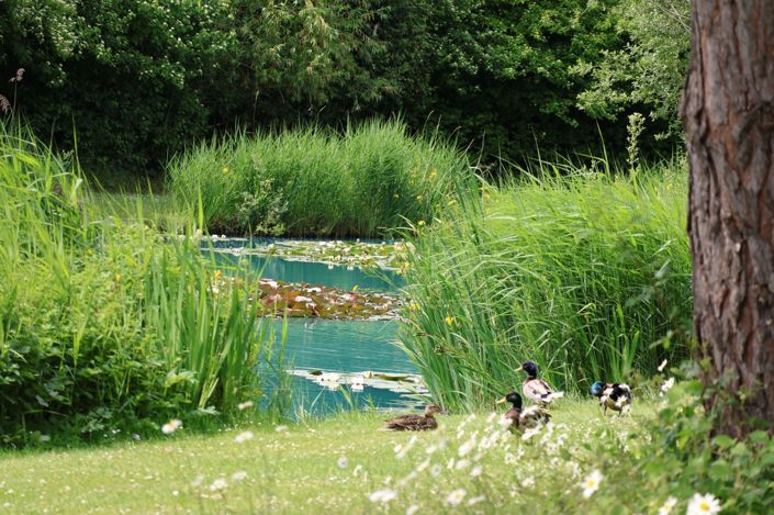 Image No.3-2 Bed Park Home for sale