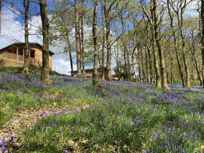 Image No.8-2 Bed Park Home for sale