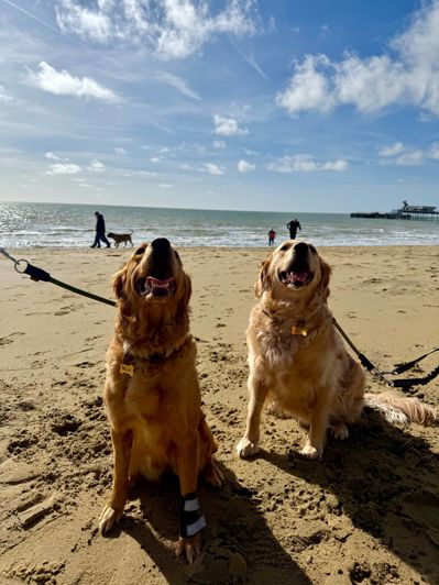 Image No.9-2 Bed Park Home for sale