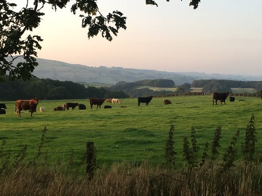 Image No.15-2 Bed Park Home for sale