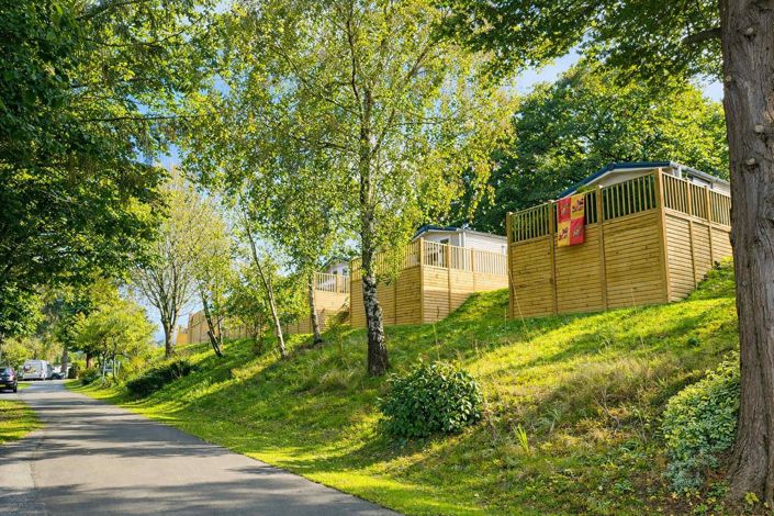 Image No.5-Park Home de 2 chambres à vendre à Powys