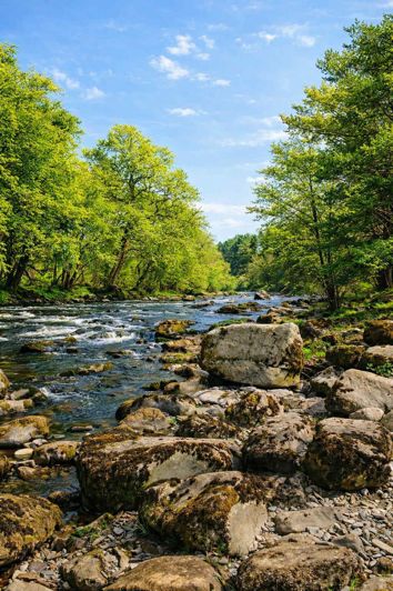 Image No.6-Park Home de 2 chambres à vendre à Llandrindod Wells