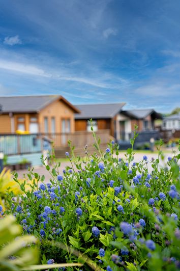 Image No.5-Park Home de 2 chambres à vendre à Malton