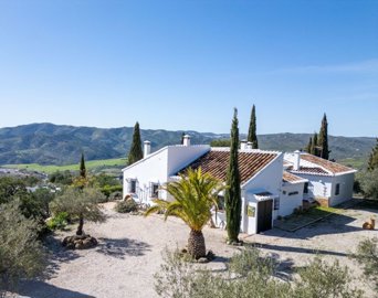 Cortijo-Pool-Riogordo-Malaga-Olive-49