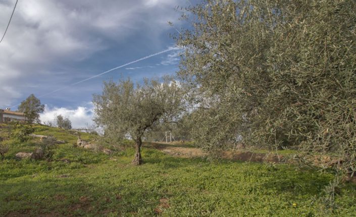 Image No.2-Propriété de 4 chambres à vendre à Ríogordo