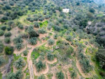 plot-land-malaga-riogordo-2