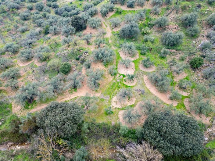 Image No.2-Plot for sale