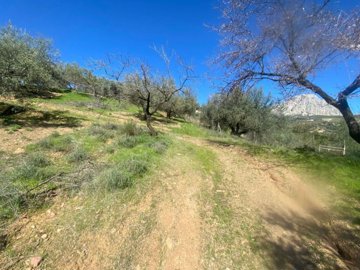 plot-land-malaga-riogordo-8