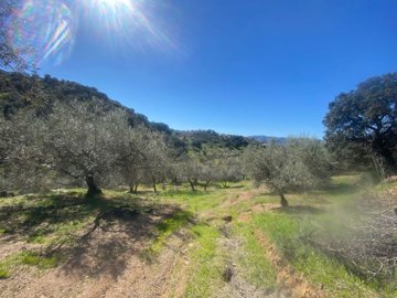 plot-land-malaga-riogordo-7