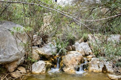 plot-land-malaga-riogordo-5