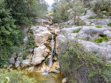 plot-land-malaga-riogordo-1