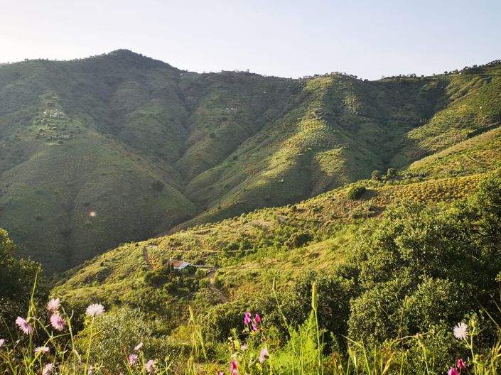 Image No.18-5 Bed Property for sale